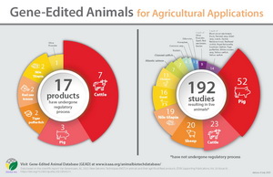 Gene-Edited Animals for Agricultural Applications