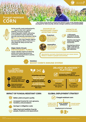 Future Crops: Fungal-Resistant Corn