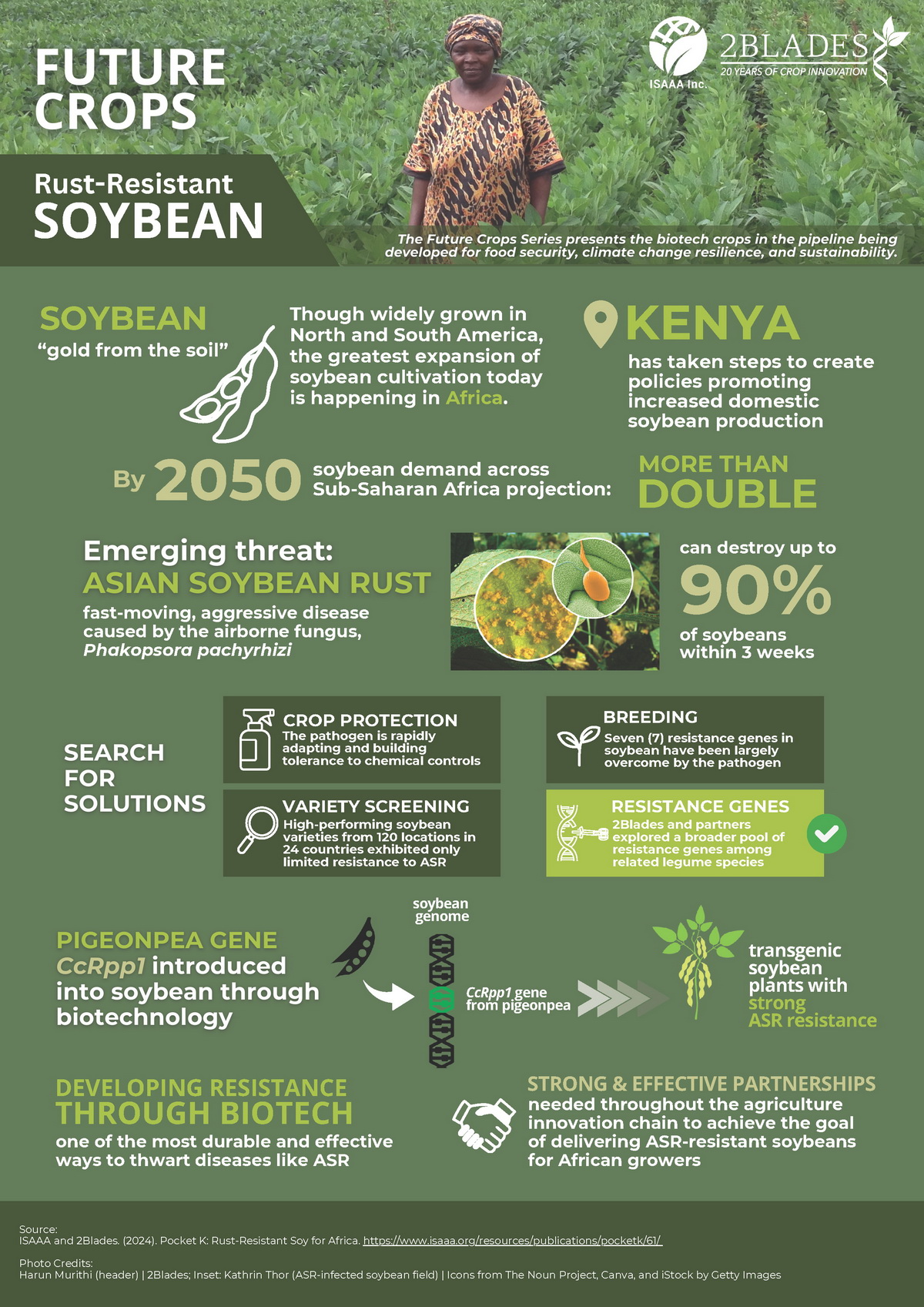 Rust-Resistant Soybean